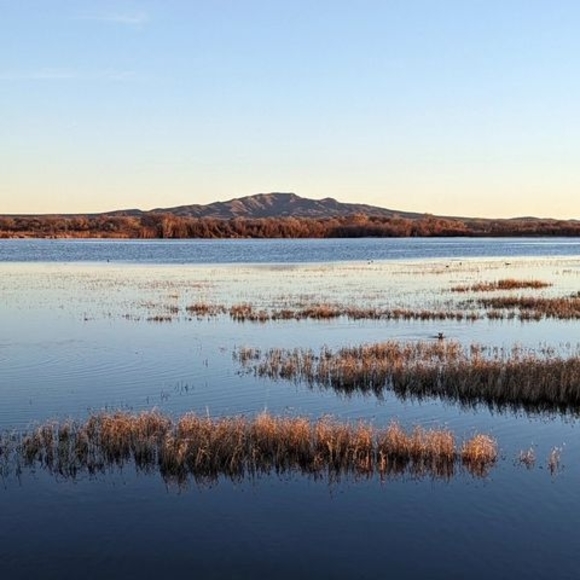 Meet your Posher, William - Picture 1 of 1